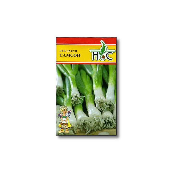 САМСОН
