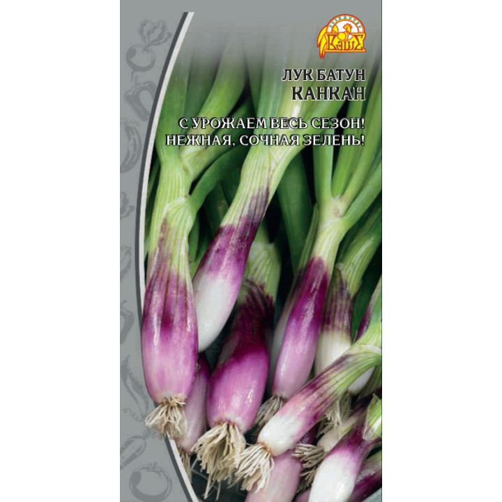 КАНКАН