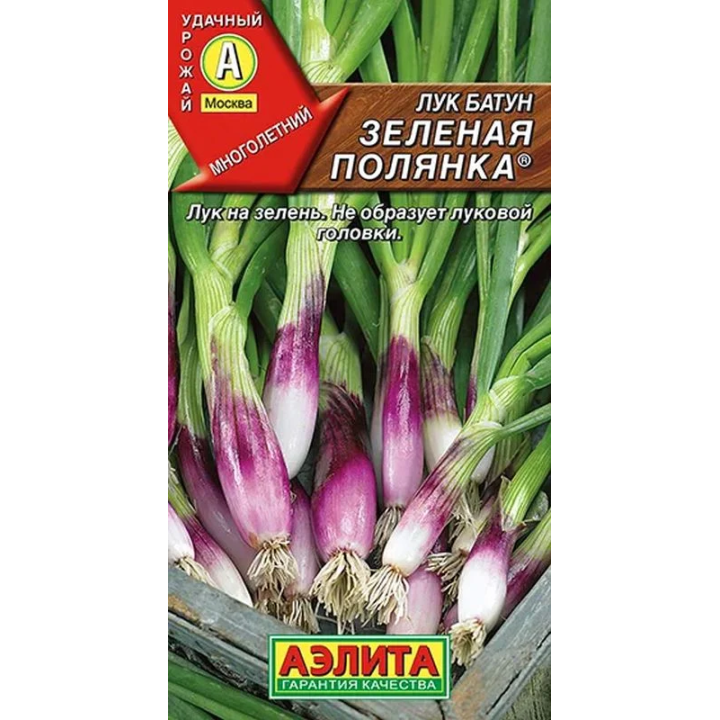 ЗЕЛЕНАЯ ПОЛЯНКА
