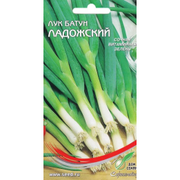 ЛАДОЖСКИЙ