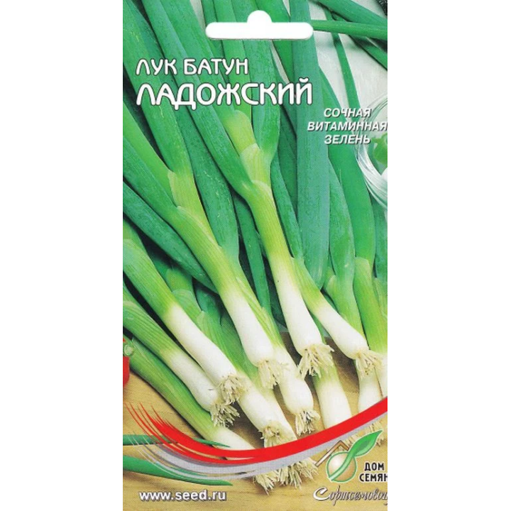 ЛАДОЖСКИЙ