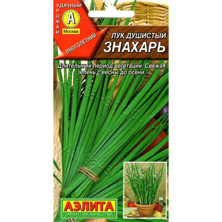 ЗНАХАРЬ