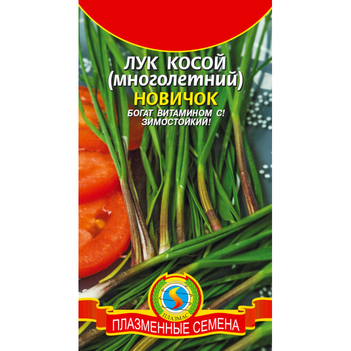 НОВИЧОК