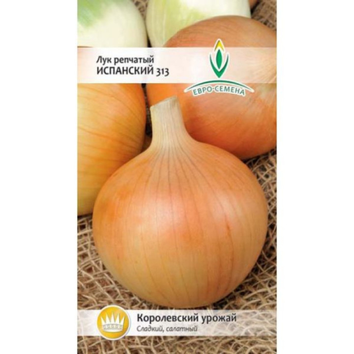 ИСПАНСКИЙ 313