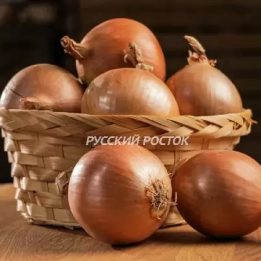 НЕЙШЕН
