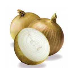 МААС 01
