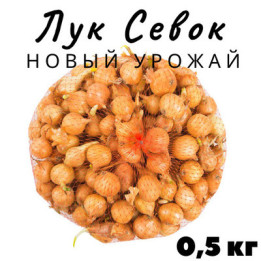 МАГИСТР
