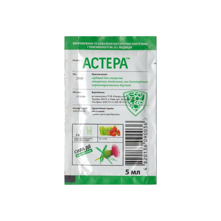 Астера