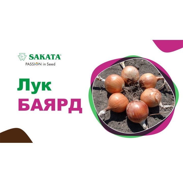 БАЯРД