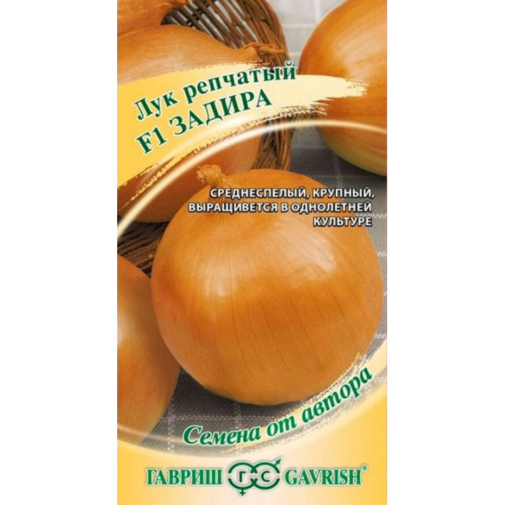 ЗАДИРА