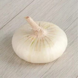 ЯЛТИНСКИЙ БЕЛЫЙ