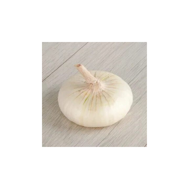 ЯЛТИНСКИЙ БЕЛЫЙ