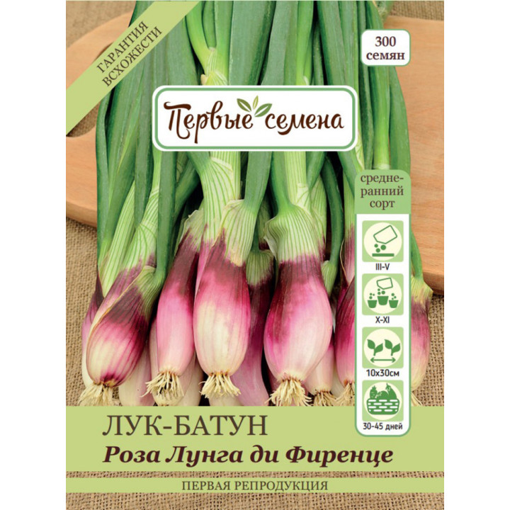 РОЗА ДИ ФЕРЕНЦЕ
