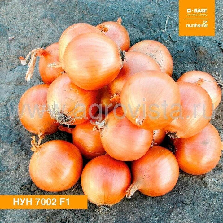 НУН 7002 ОН