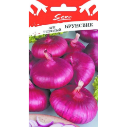 БРУНСВИК