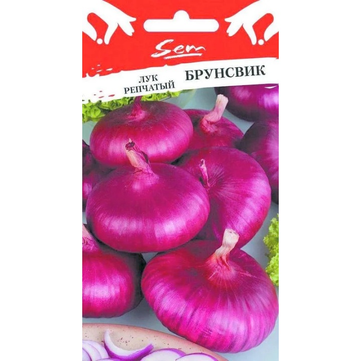 БРУНСВИК