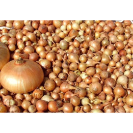 РОЗАРИО