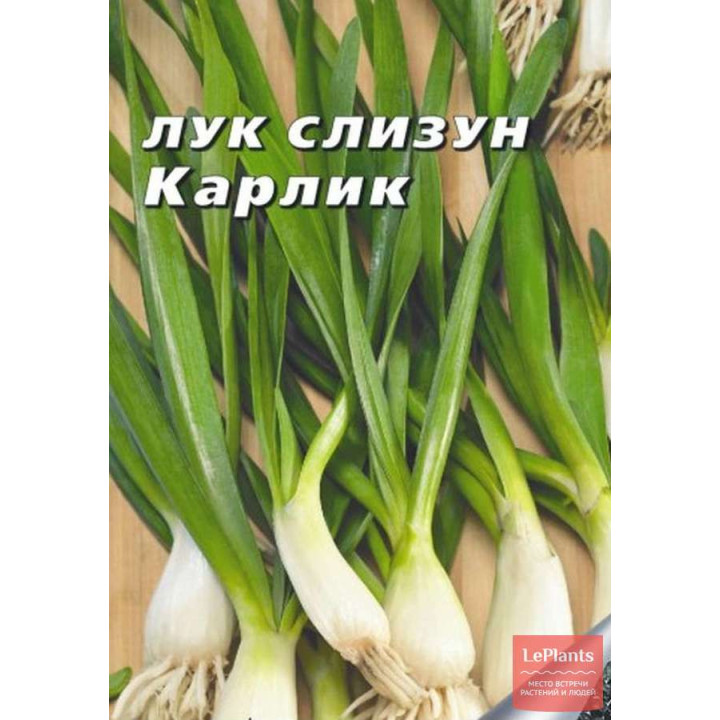 КАРЛИК
