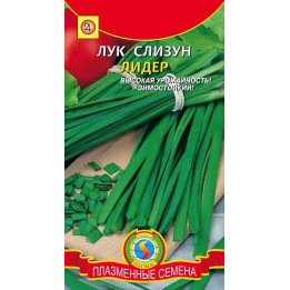 ЛИДЕР