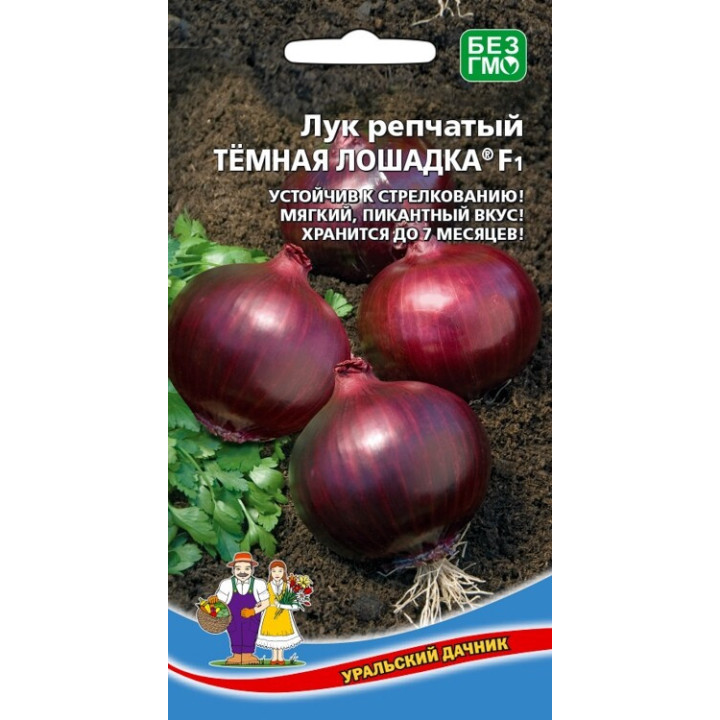 ТЁМНАЯ ЛОШАДКА