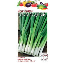 ВАНЮША