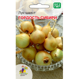 ГОРДОСТЬ СИБИРИ