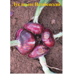 ИСТОБЕНСКИЙ