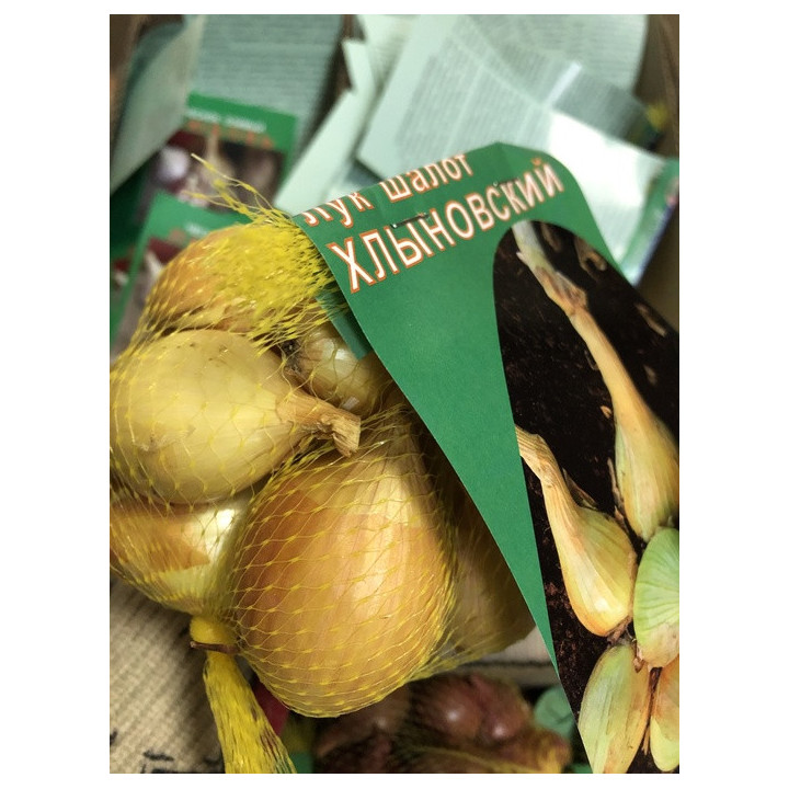 ХЛЫНОВСКИЙ