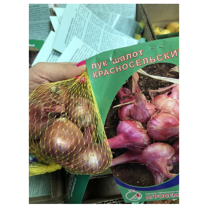 КРАСНОСЕЛЬСКИЙ