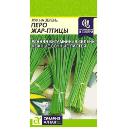 ЖАР-ПТИЦА