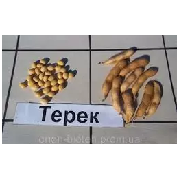 ТЕРЕК