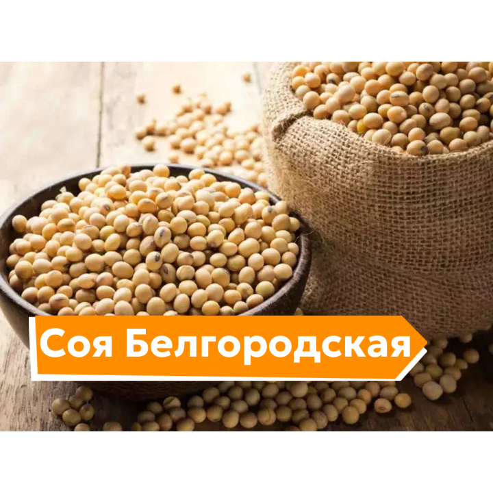 БЕЛГОРОДСКАЯ 6