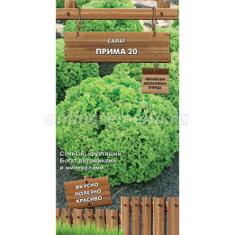 ПРИМА 20
