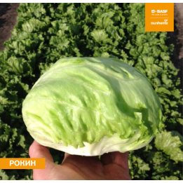 РОКИН