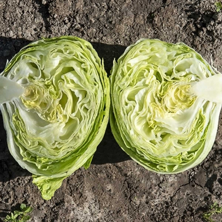 ЭДУАРДО