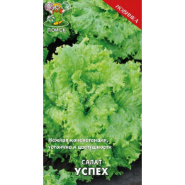 УСПЕХ