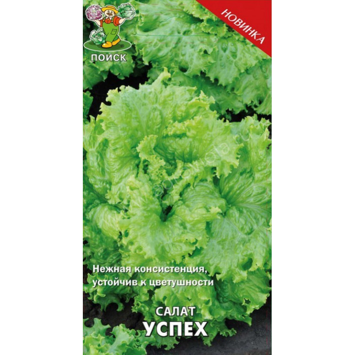 УСПЕХ