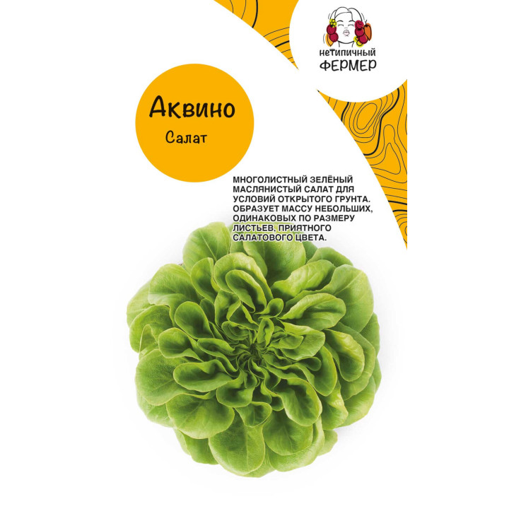 АКВИНО