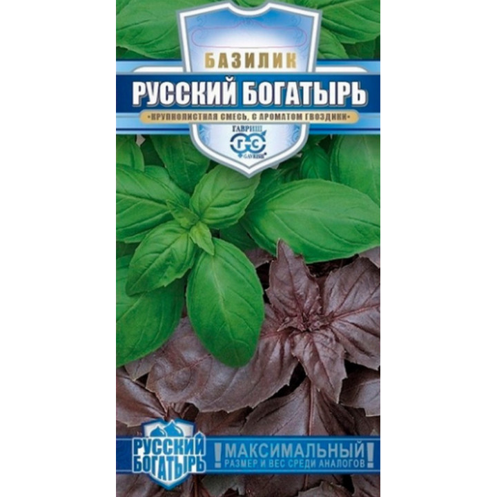 РУССКИЙ БОГАТЫРЬ