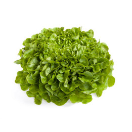 КУК