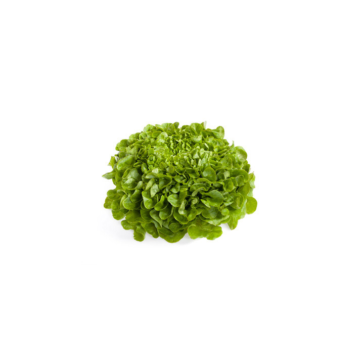 КУК