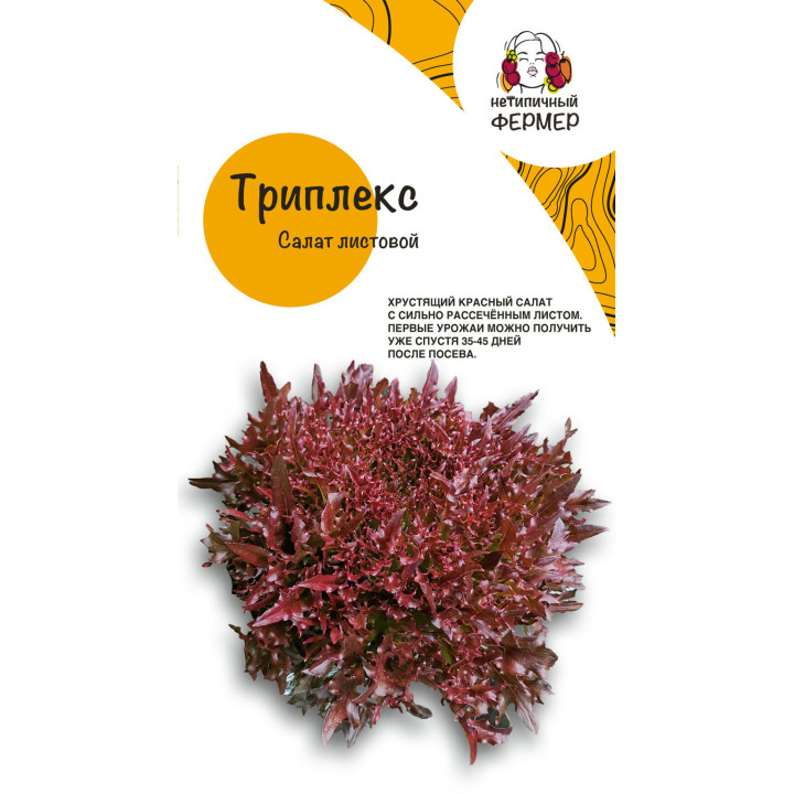 ТРИПЛЕКС