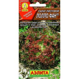 ЛОЛЛО ФАН