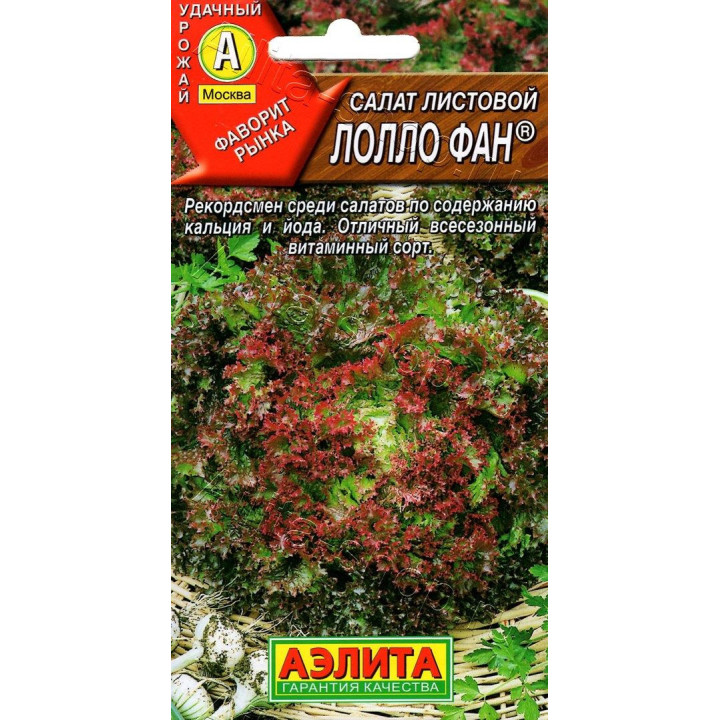 ЛОЛЛО ФАН