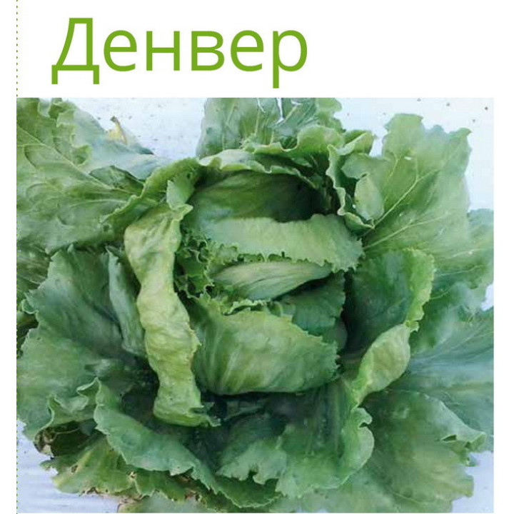 ДЕНВЕР