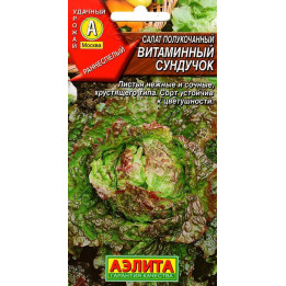 ВИТАМИННЫЙ СУНДУЧОК
