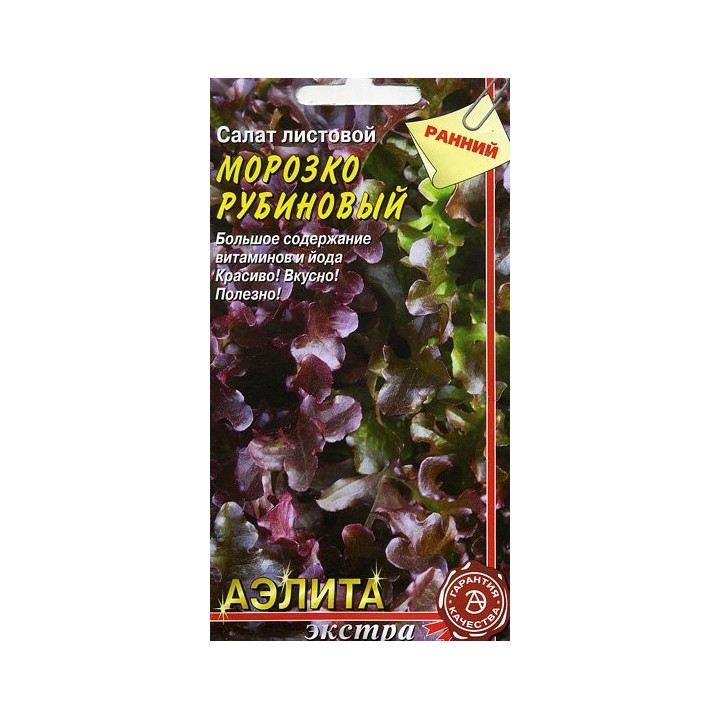 МОРОЗКО РУБИНОВЫЙ