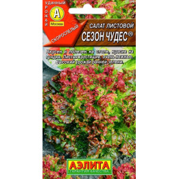 СЕЗОН ЧУДЕС