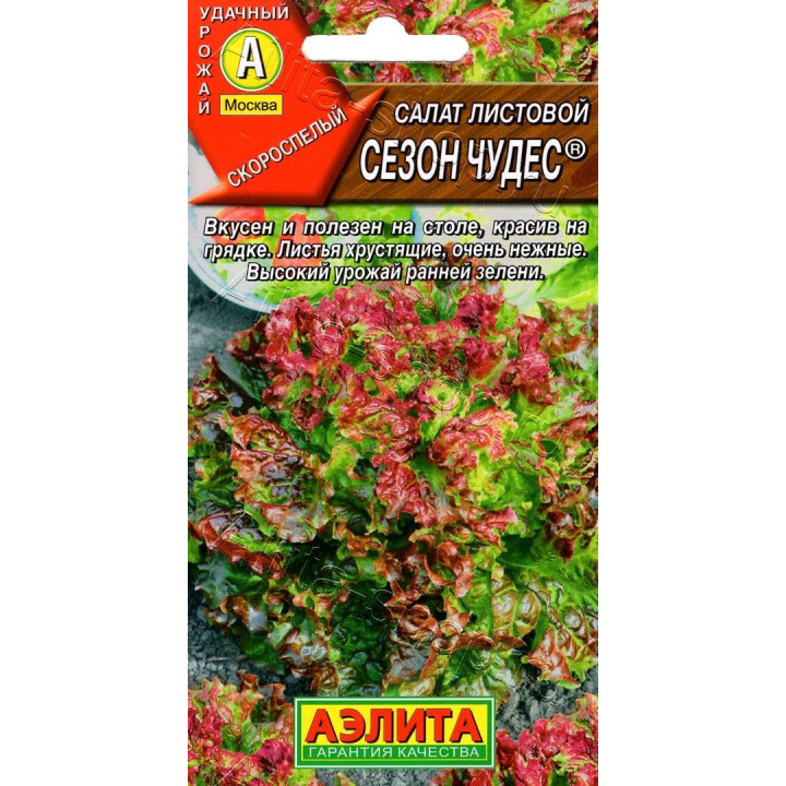 СЕЗОН ЧУДЕС