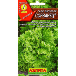 СОРВАНЕЦ